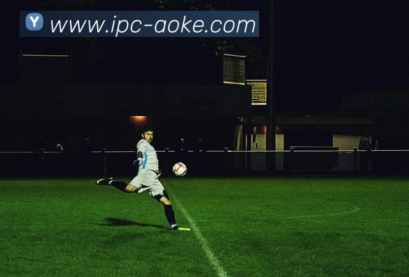 App Interface Preview